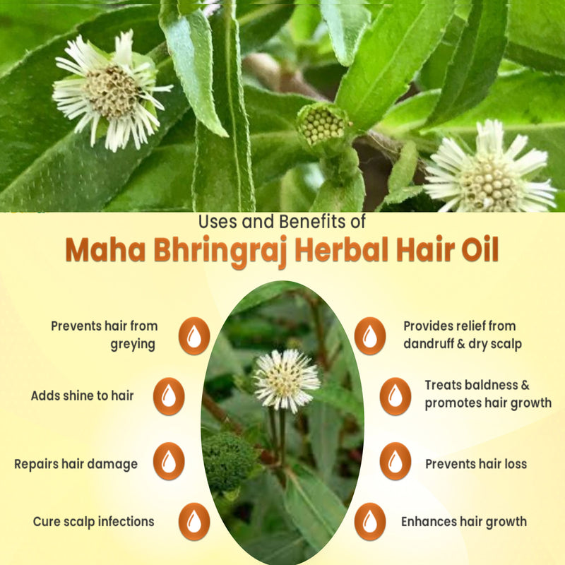 Hair Oil For Control Hair Fall, Nourishing Oil For Healthy Hair Growth