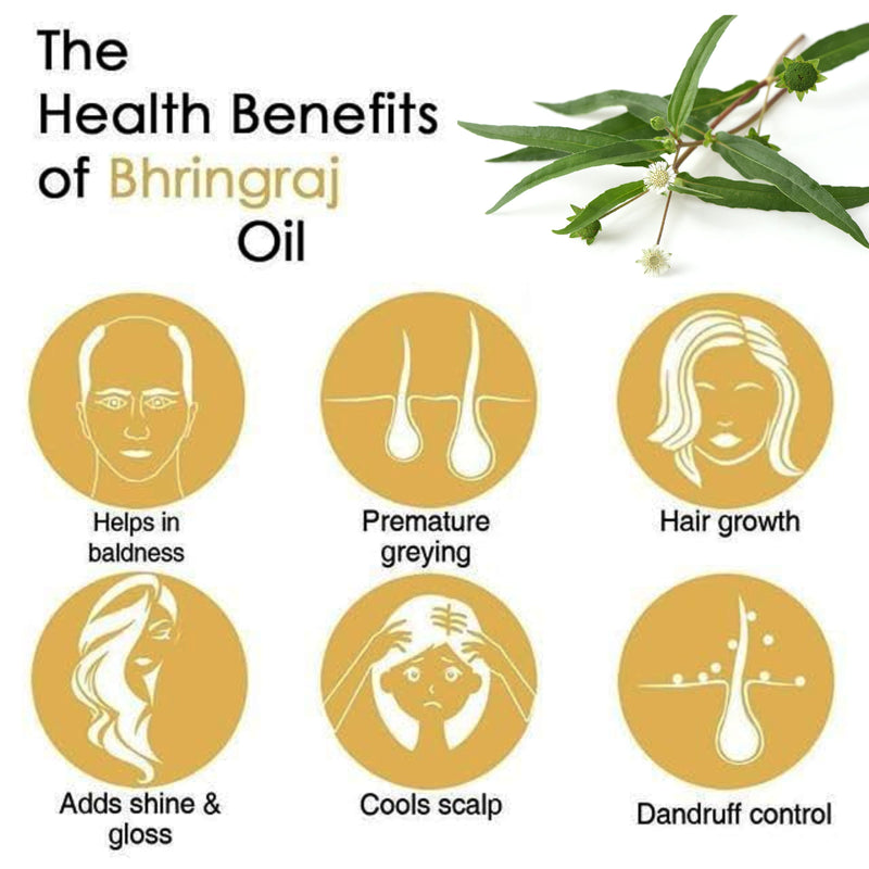 Hair Oil For Control Hair Fall, Nourishing Oil For Healthy Hair Growth