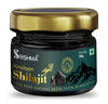 Himalayan Shilajit Resin for Strength, Power & Boosts Stamina | 100% Ayurvedic