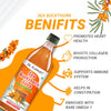 DR KAIWART SEA BUCHTHORN JUICE