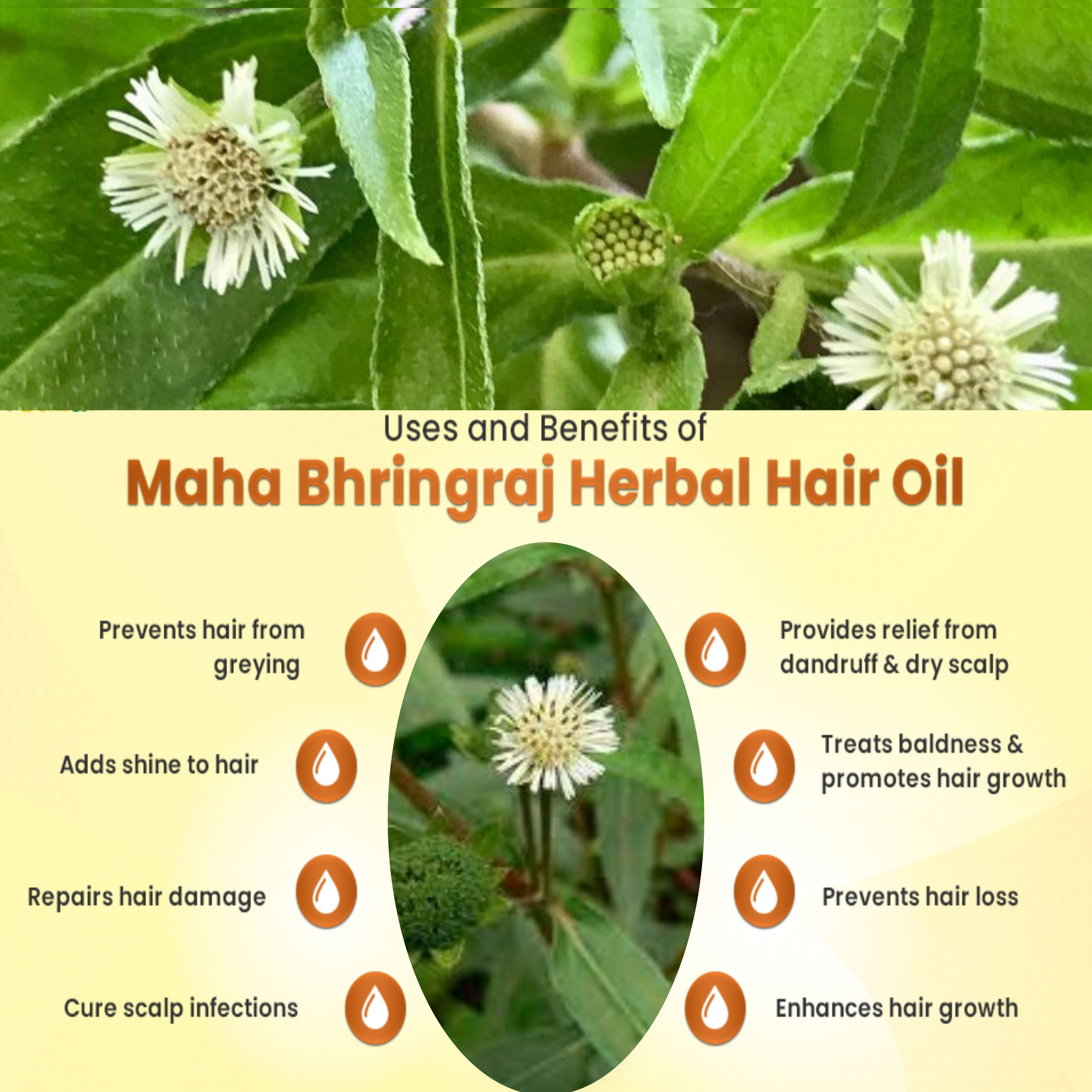 Hair Oil For Control Hair Fall, Nourishing Oil For Healthy Hair Growth
