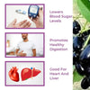 JAMUN & SHILAJIT POWDER