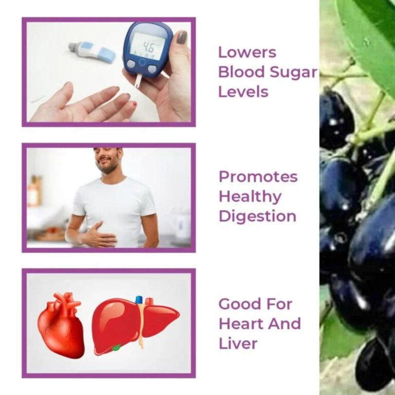 JAMUN & SHILAJIT POWDER