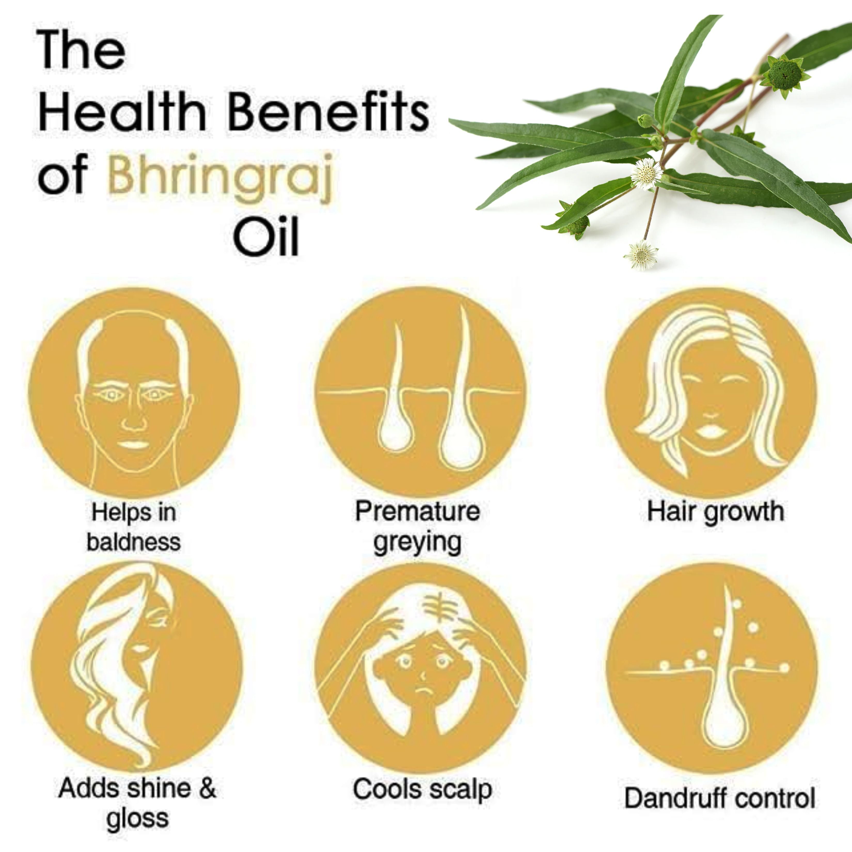 Hair Oil For Control Hair Fall, Nourishing Oil For Healthy Hair Growth