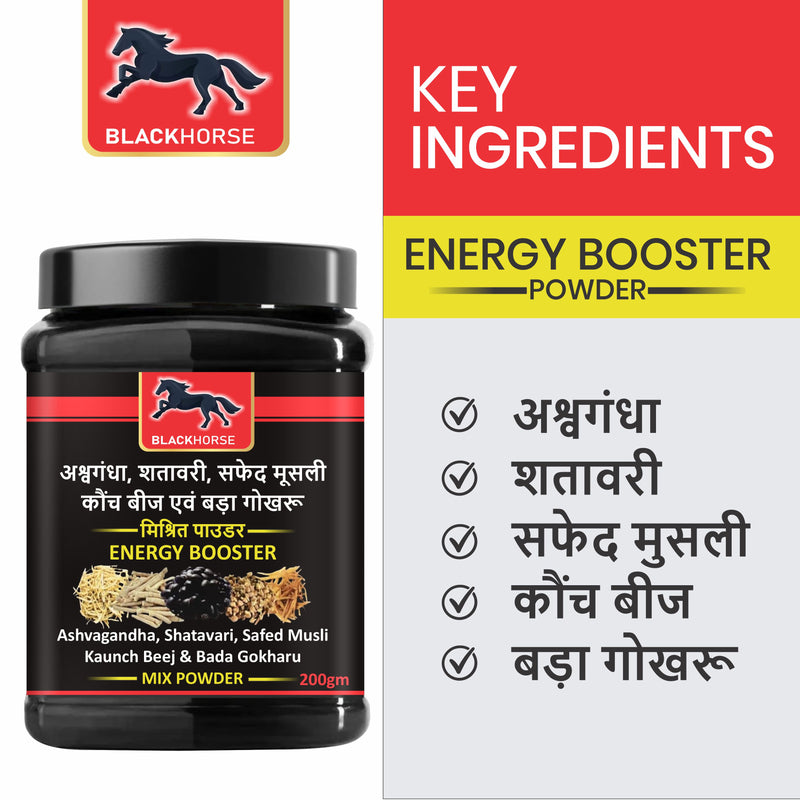 ENERGY MIX POWDER